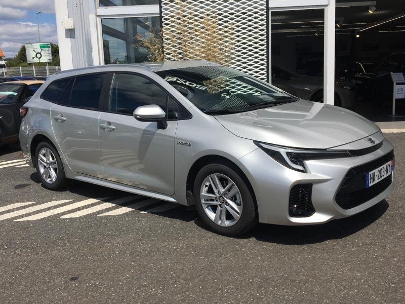 suzuki - Visuel 0
