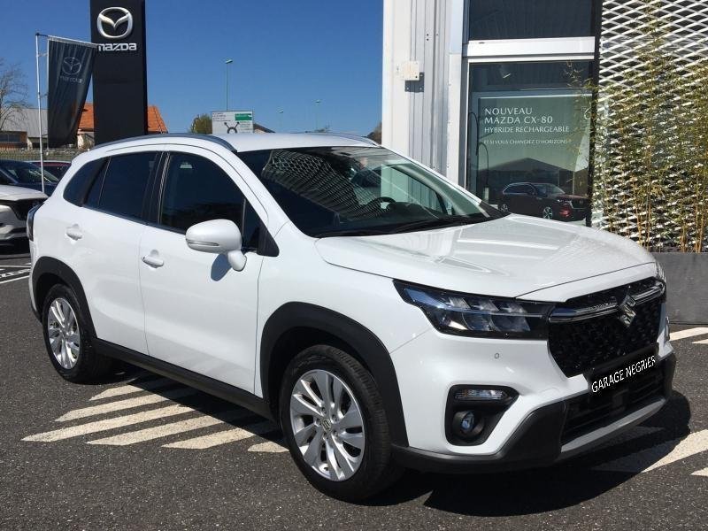 suzuki - Visuel 0