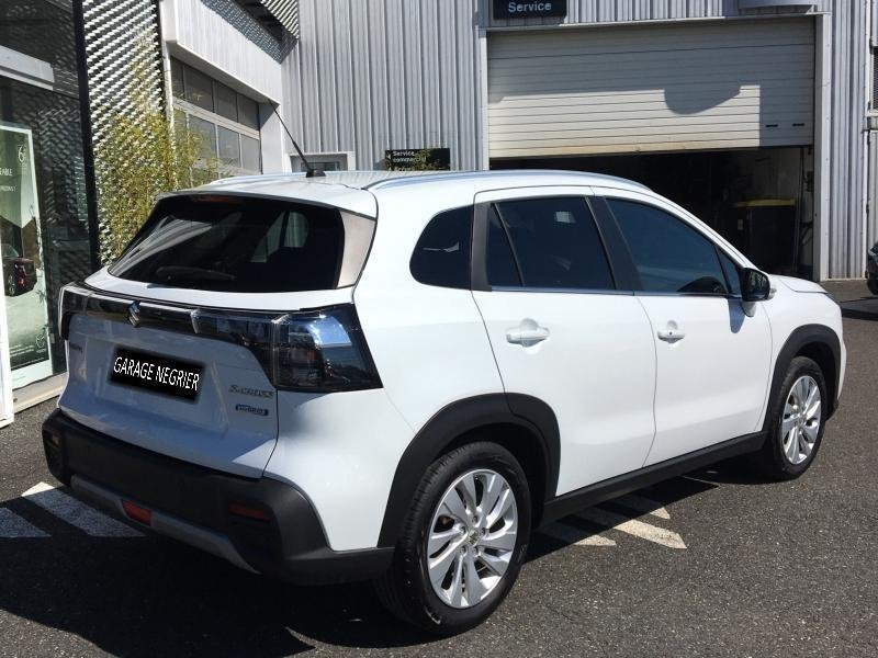 suzuki - Visuel 3
