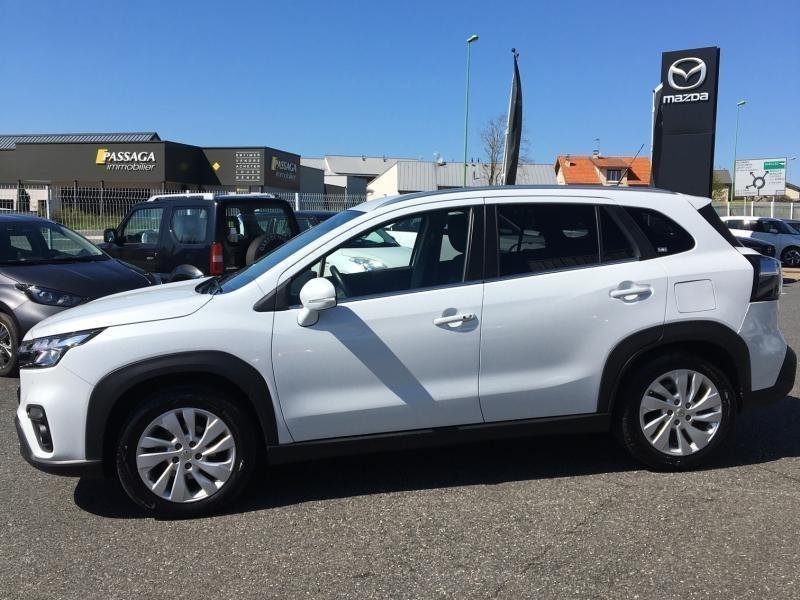 suzuki - Visuel 4