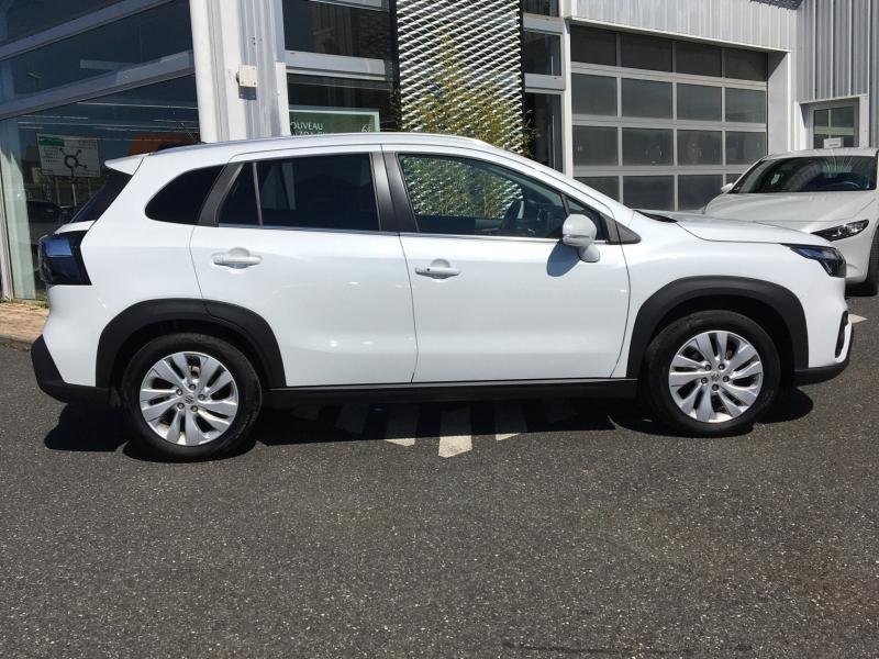 suzuki - Visuel 5