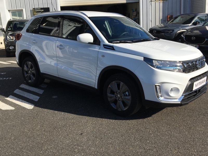 suzuki - Visuel 0