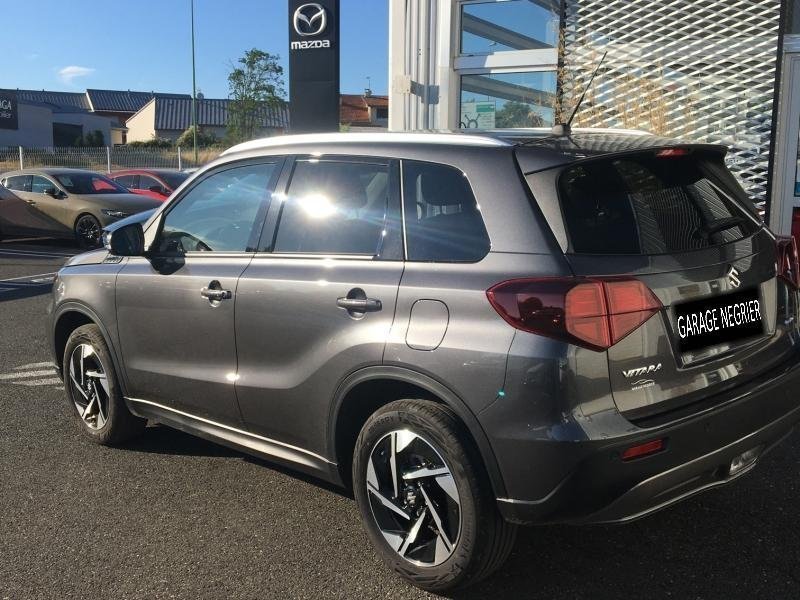 suzuki - Visuel 2