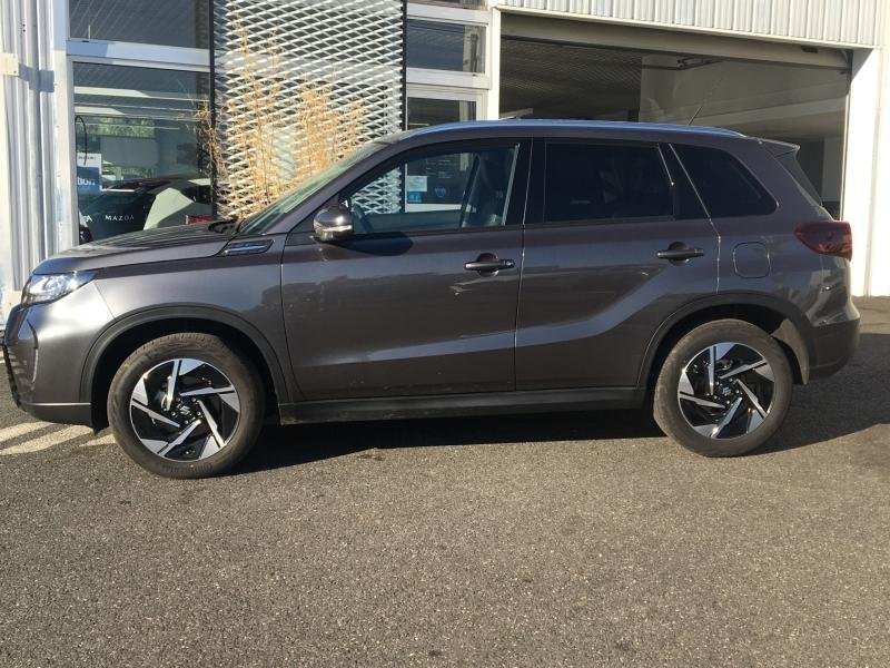 suzuki - Visuel 4