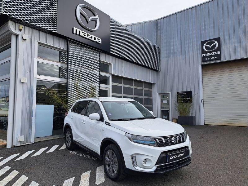 suzuki - Visuel 0