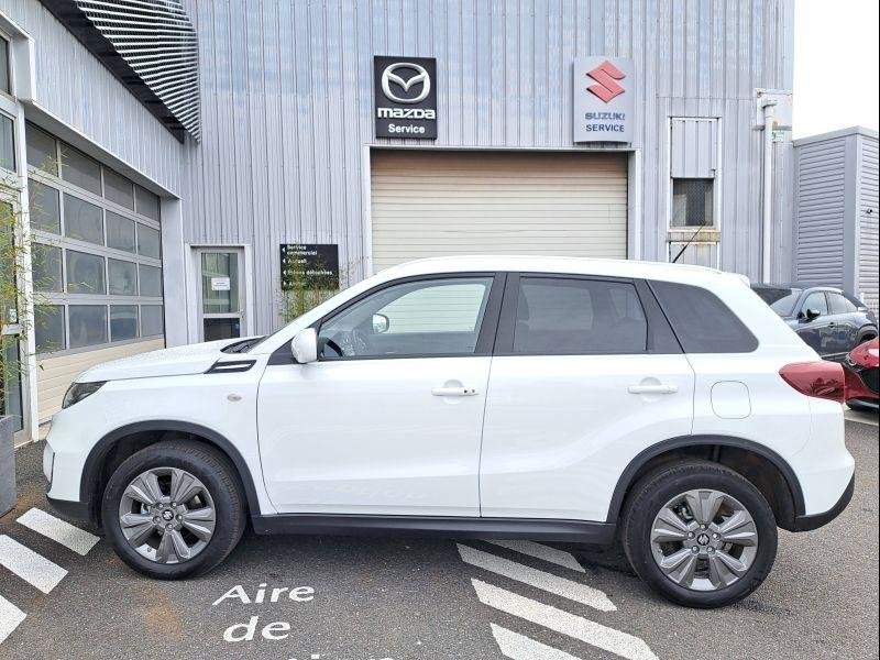 suzuki - Visuel 4