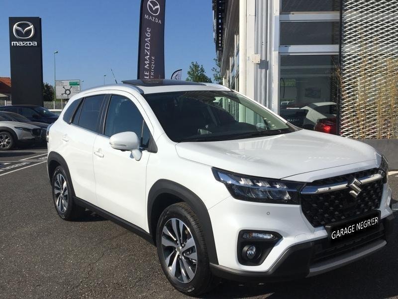 suzuki - Visuel 0