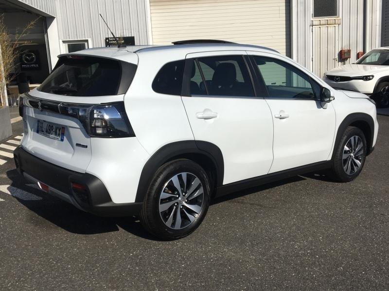 suzuki - Visuel 3