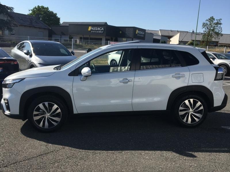 suzuki - Visuel 4