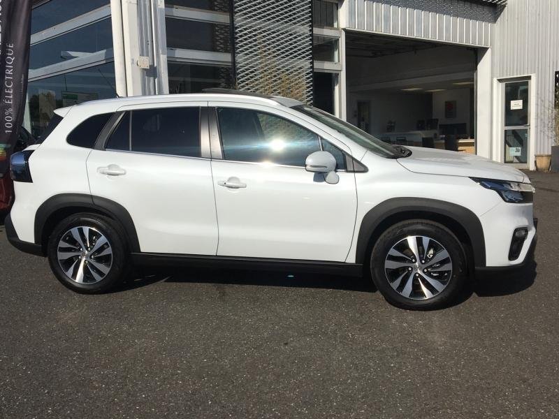 suzuki - Visuel 5