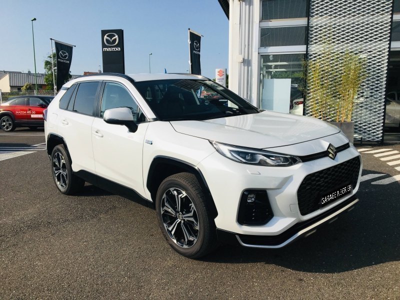 suzuki - Visuel 0
