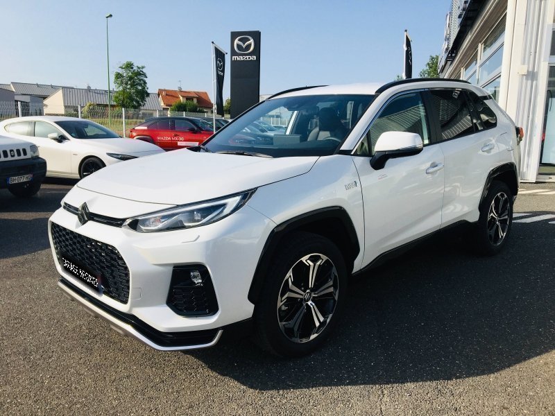 suzuki - Visuel 1