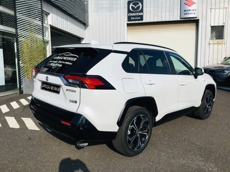 suzuki - Visuel 3