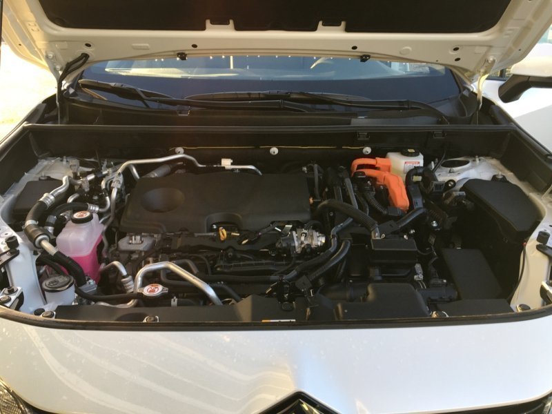 suzuki - Visuel 14