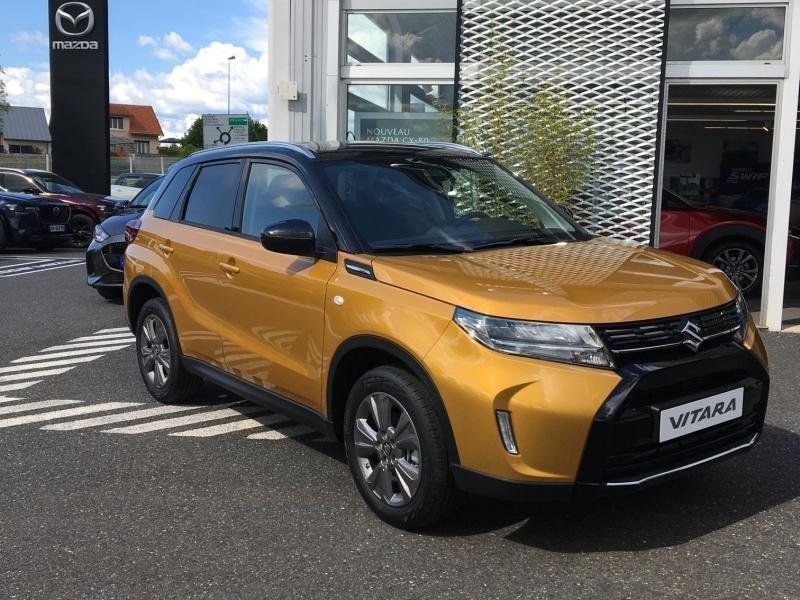 suzuki - Visuel 0