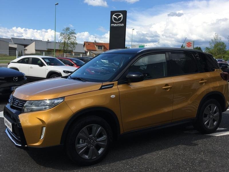 suzuki - Visuel 1