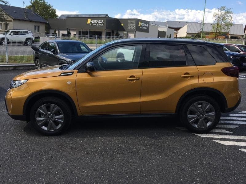 suzuki - Visuel 4