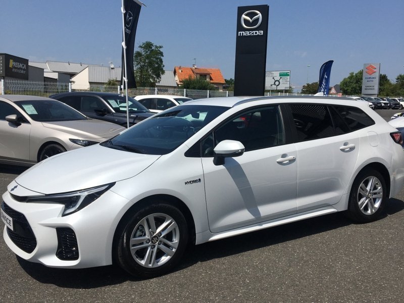 suzuki - Visuel 1