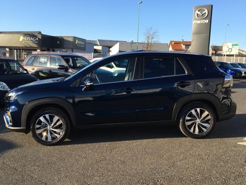 suzuki - Visuel 4