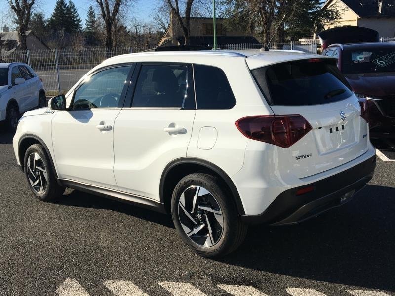 suzuki - Visuel 2