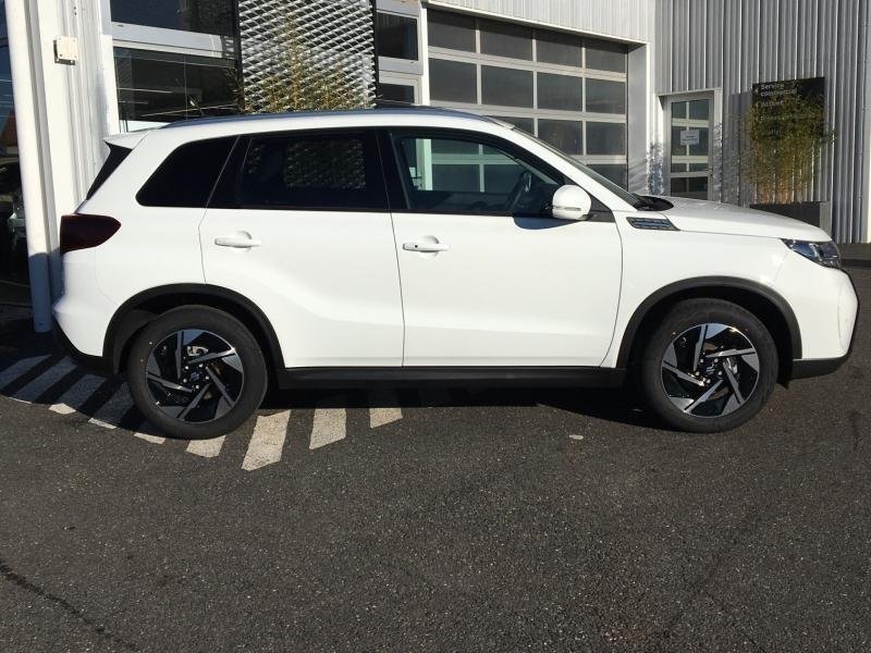 suzuki - Visuel 5