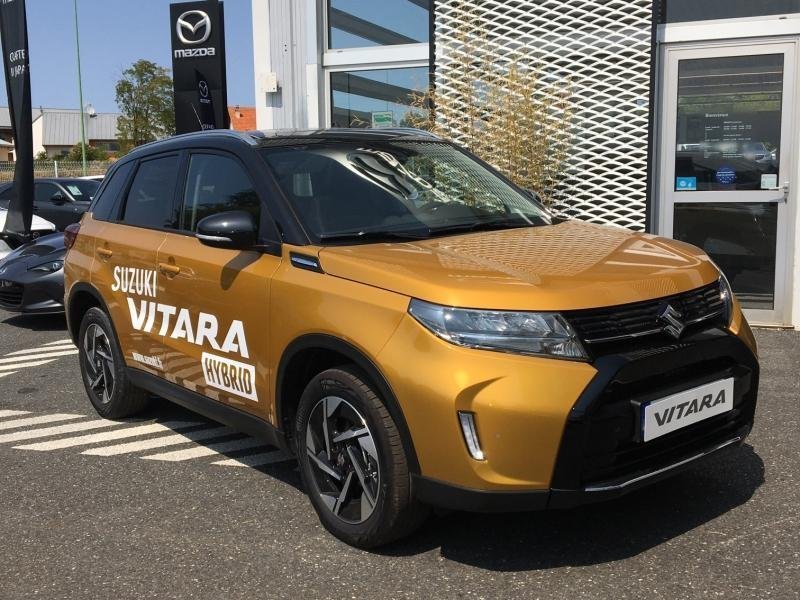 suzuki - Visuel 0