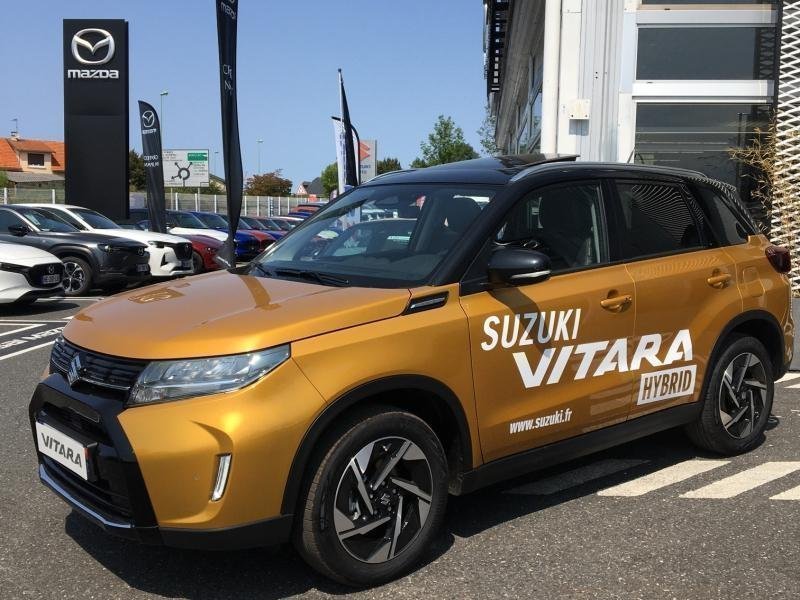suzuki - Visuel 1