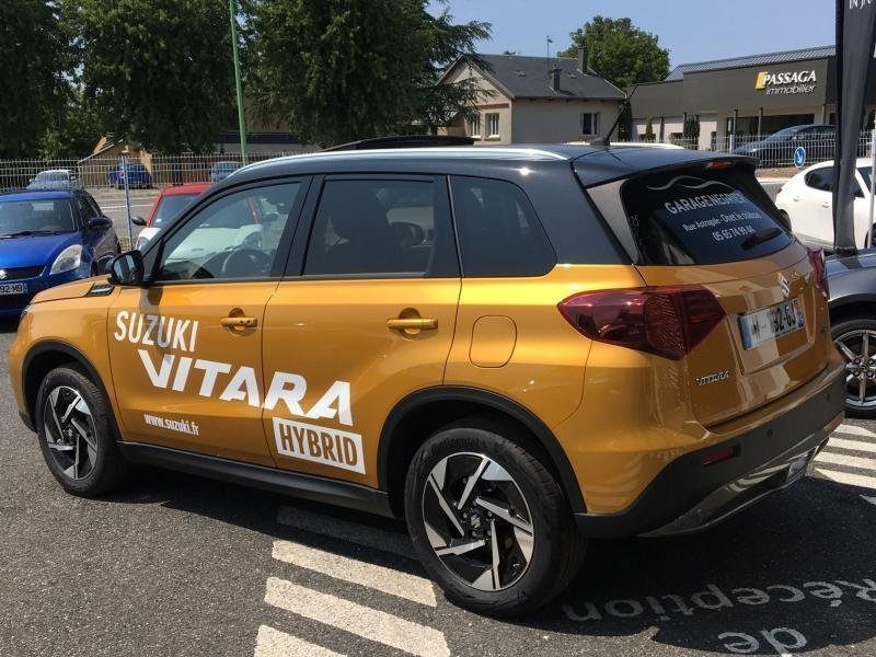suzuki - Visuel 2