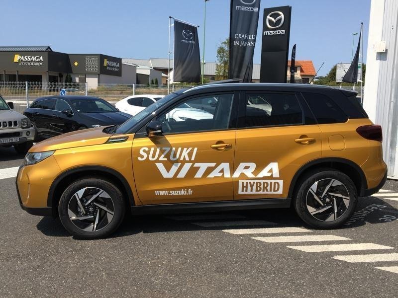 suzuki - Visuel 4