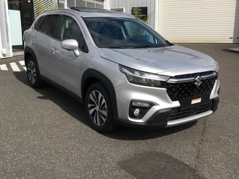 suzuki - Visuel 0