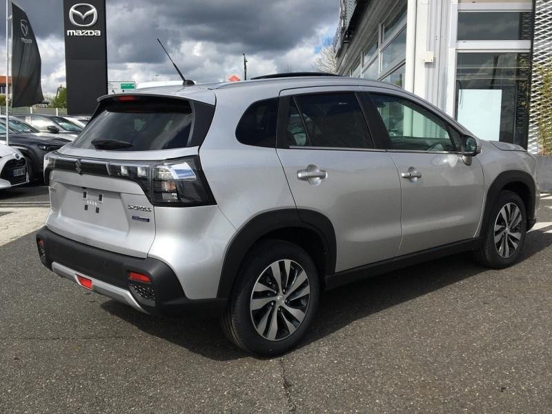 suzuki - Visuel 3