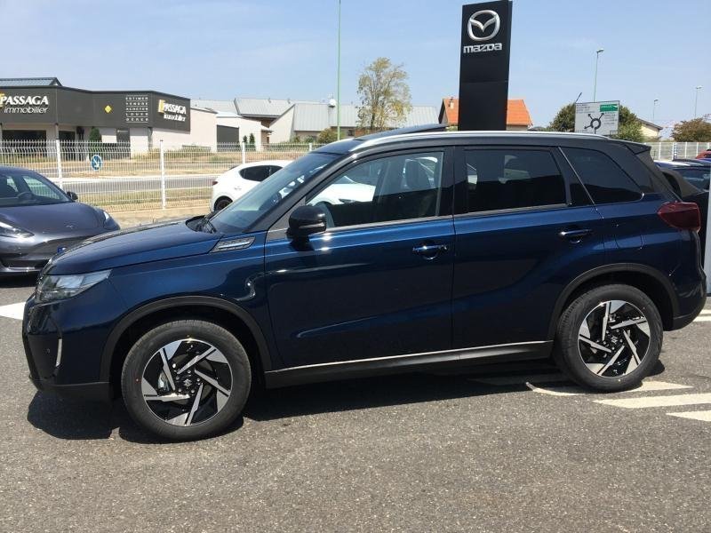 suzuki - Visuel 4