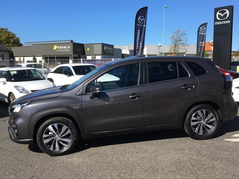suzuki - Visuel 4
