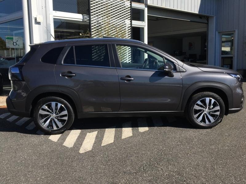 suzuki - Visuel 5